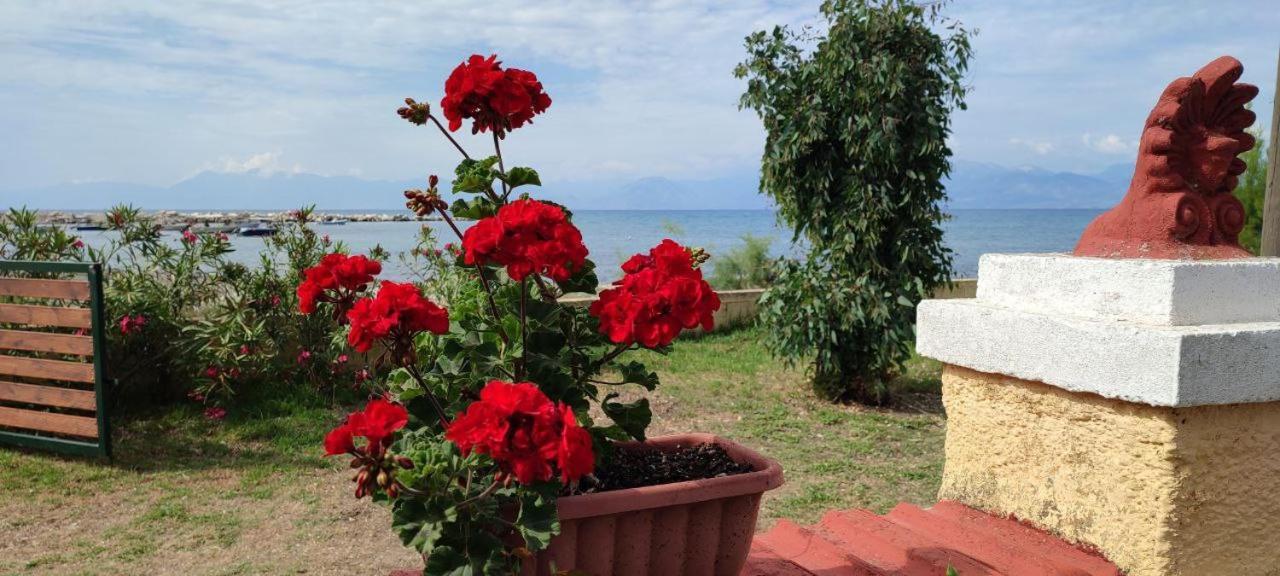 Makris Apartments Roda (Corfu) Exterior foto